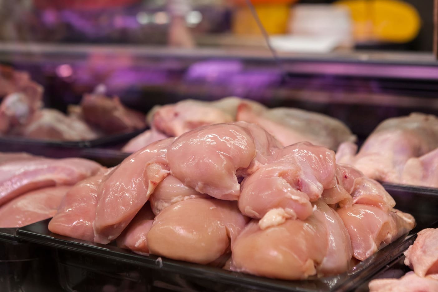 Filets de poulet empilés en barquettes dans un rayon de supermarché.